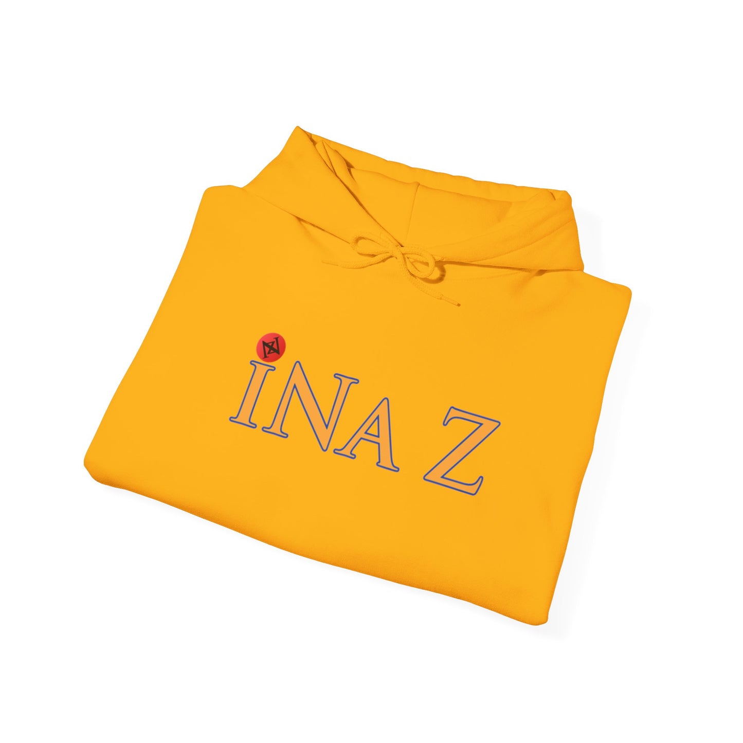 INa Z Hoodie