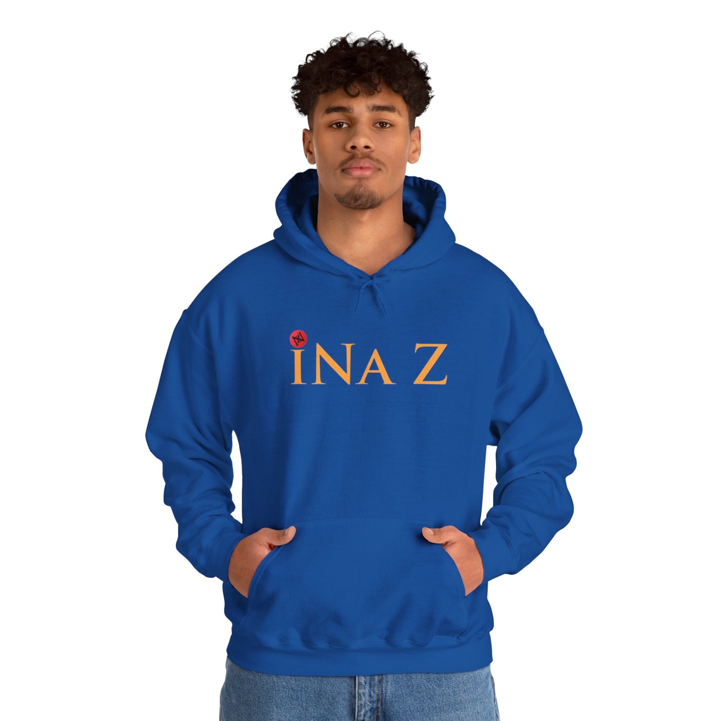 INa Z Hoodie