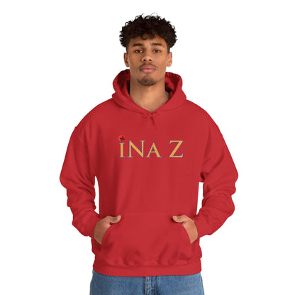 INa Z Hoodie