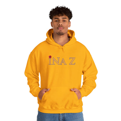 INa Z Hoodie